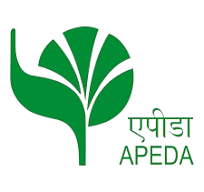 download-removebg-preview